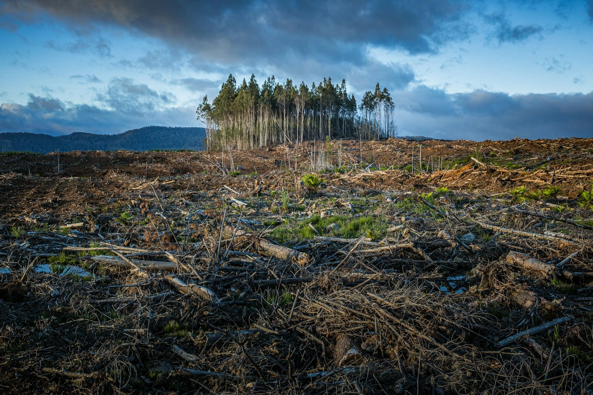 natural-resources-and-climate-change-program-photo