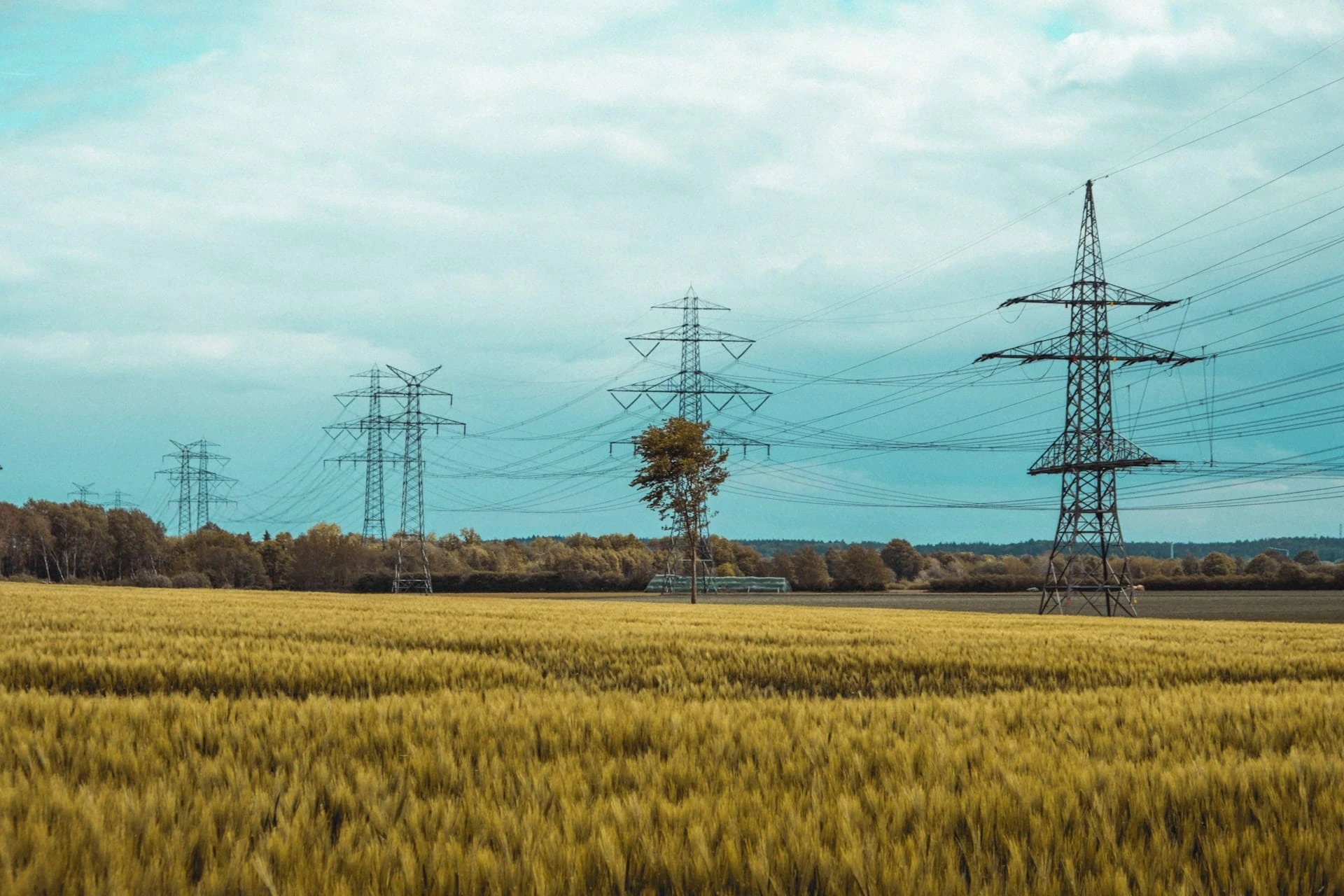 Energy-cooperation-program-photo